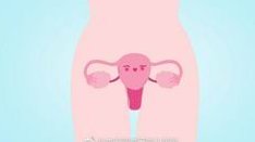 建档前做试管检查的费用是多少？附福建三代试管医院排名